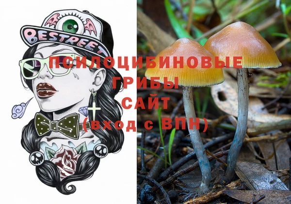 прущая мука Медногорск