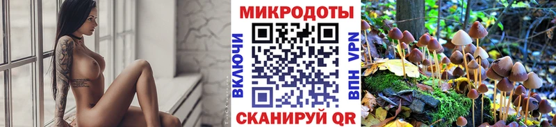 Псилоцибиновые грибы Cubensis Яранск